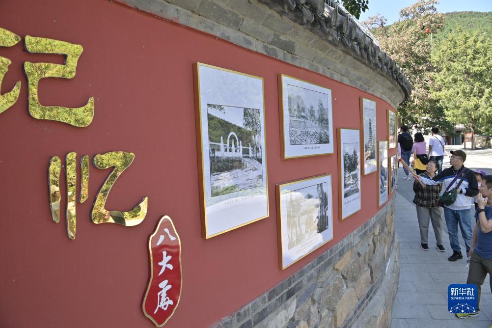 多宝手游平台